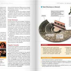 Testy starożytny Rzym klasa 5 - skuteczne materiały do nauki