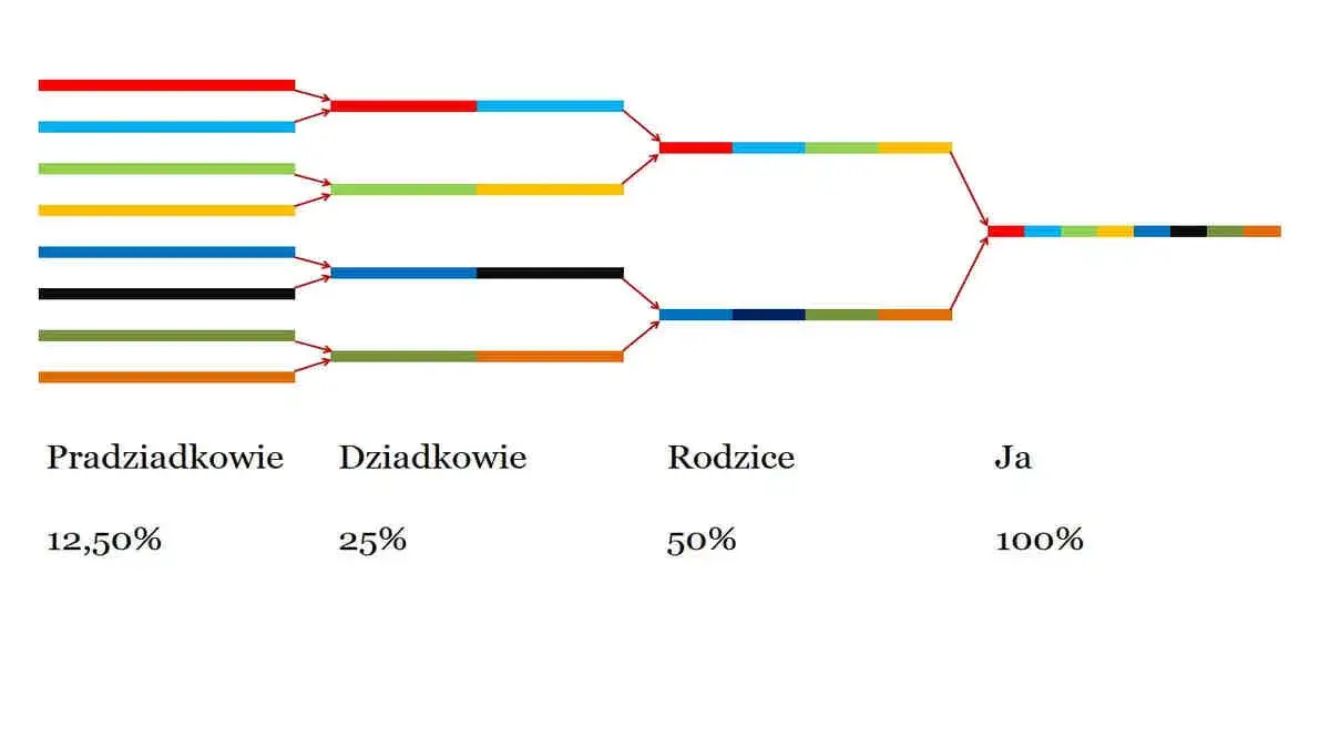 Zdjęcie Kiedy wynaleziono badania DNA? Kluczowe odkrycia, które zmieniły świat