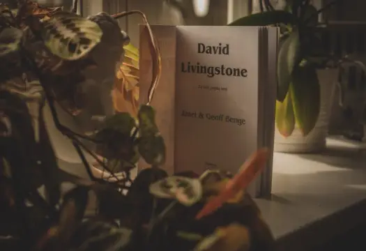 David Livingstone – co odkrył i jak zmieniło to Afrykę